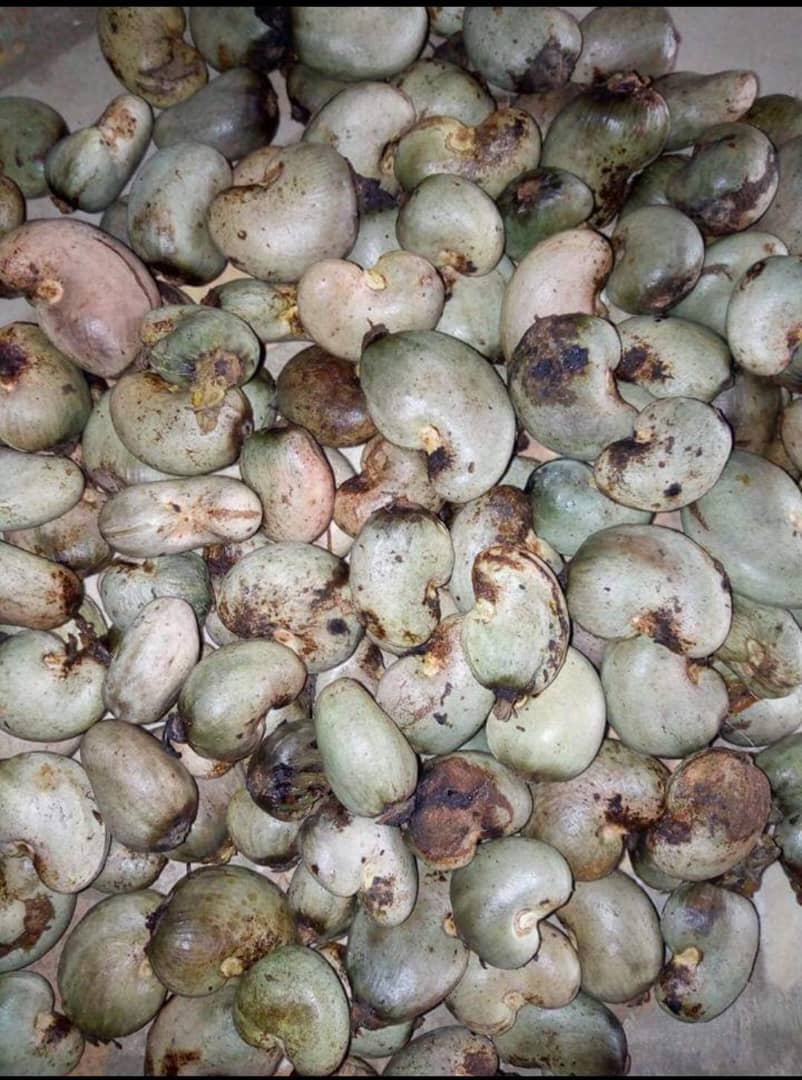 Cashew nuts