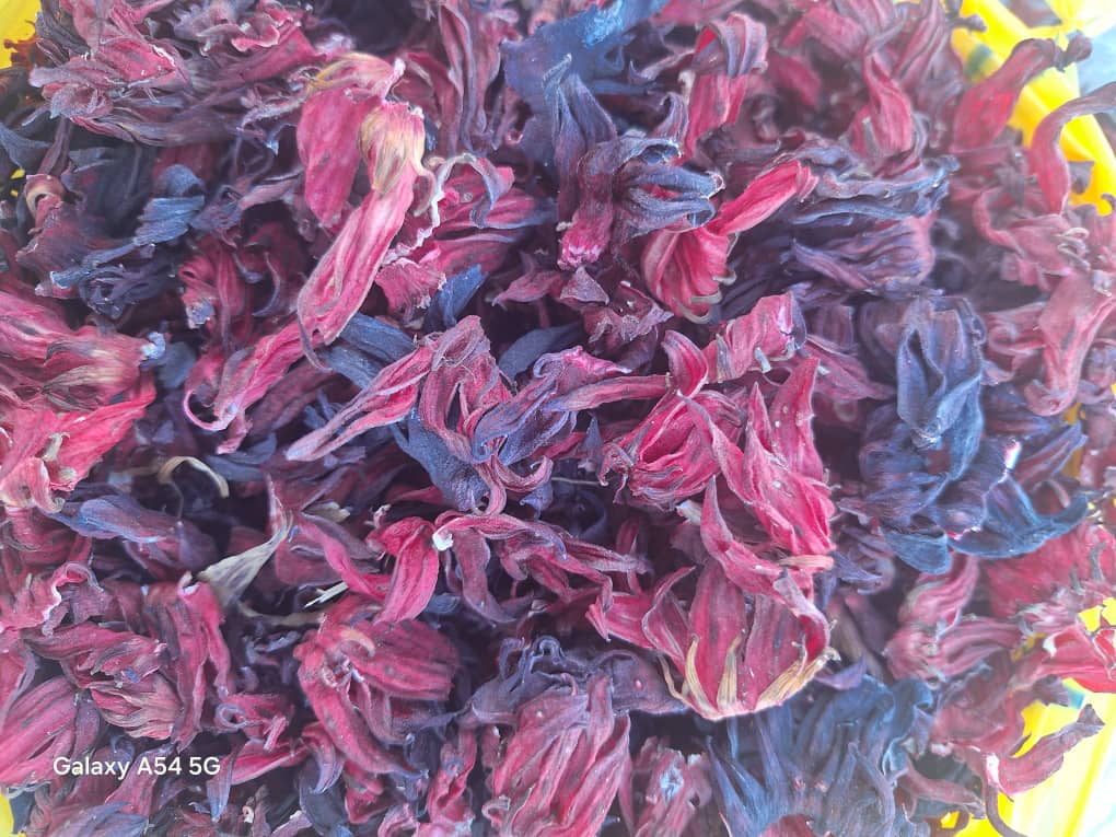 Habiscus flower